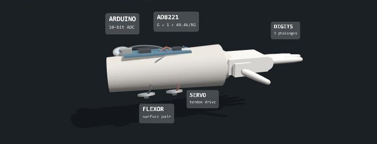 3D model of the robotic forearm with Arduino, AD8221, servo and electrodes