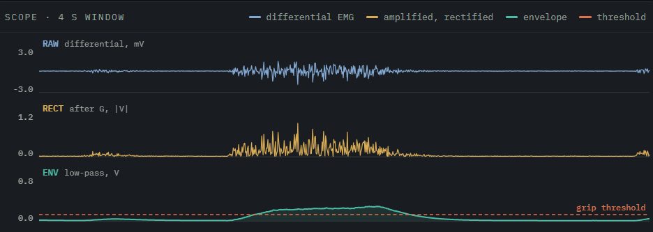 Scope capture of raw, rectified and envelope EMG channels